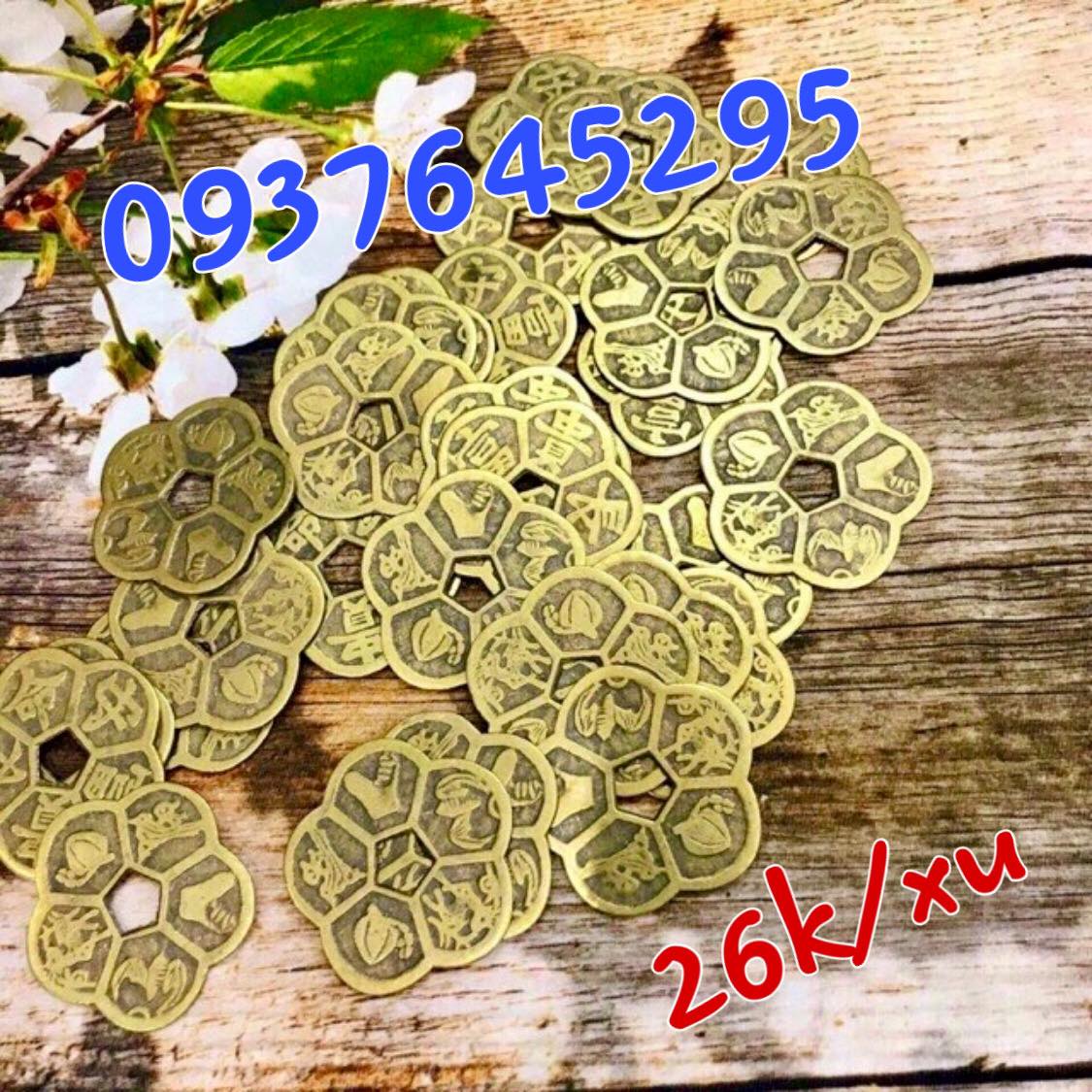 Đồng tiền hoa mai bằng đồng
