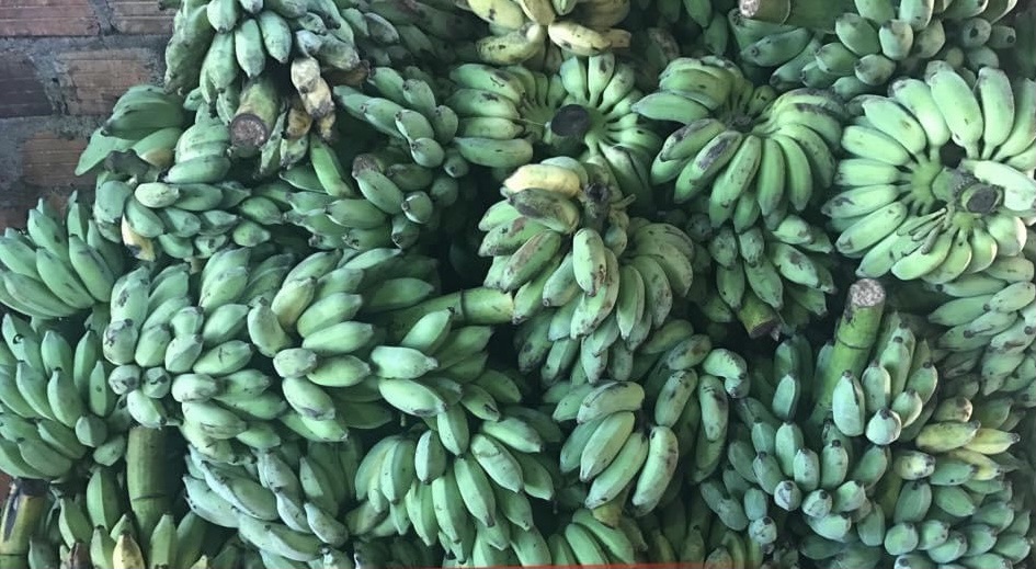 500 gram chuối sấy Gia Lai