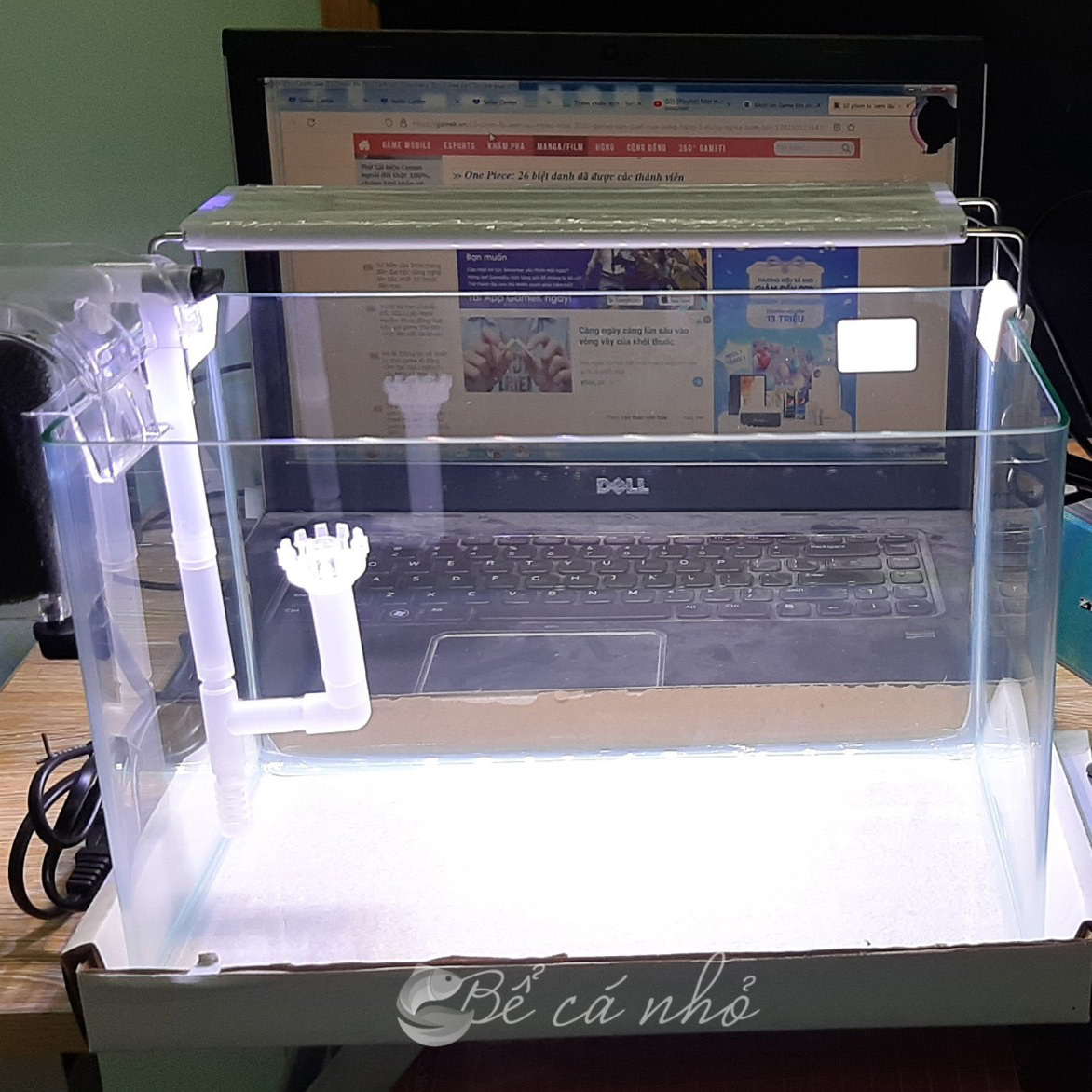 Combo bể cá đúc 30x18x20 cm mini để bàn