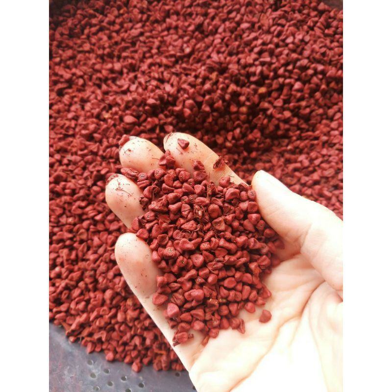 Hạt điều đỏ túi 1kg.