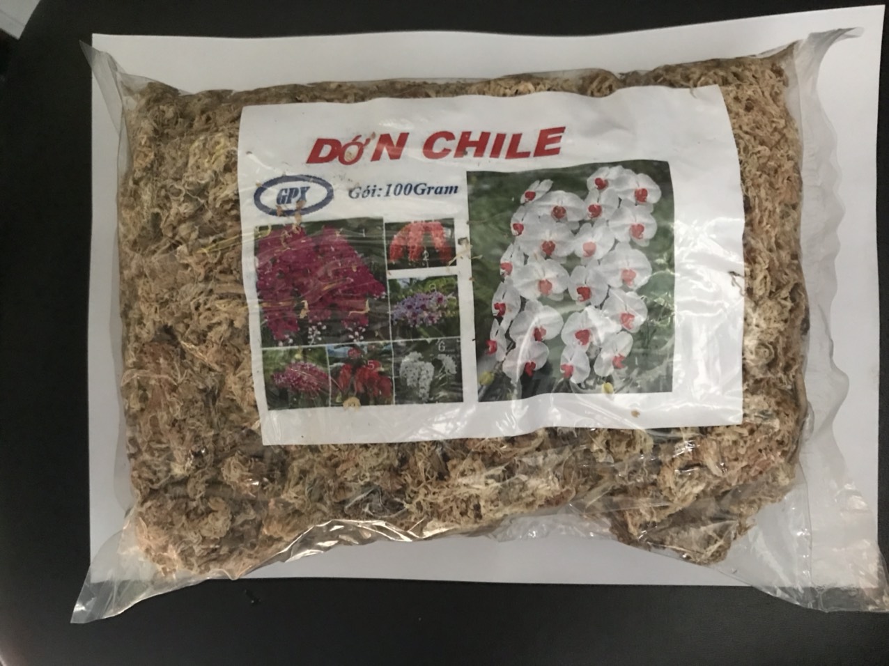 Dớn trắng chile trồng lan Hồ điệp