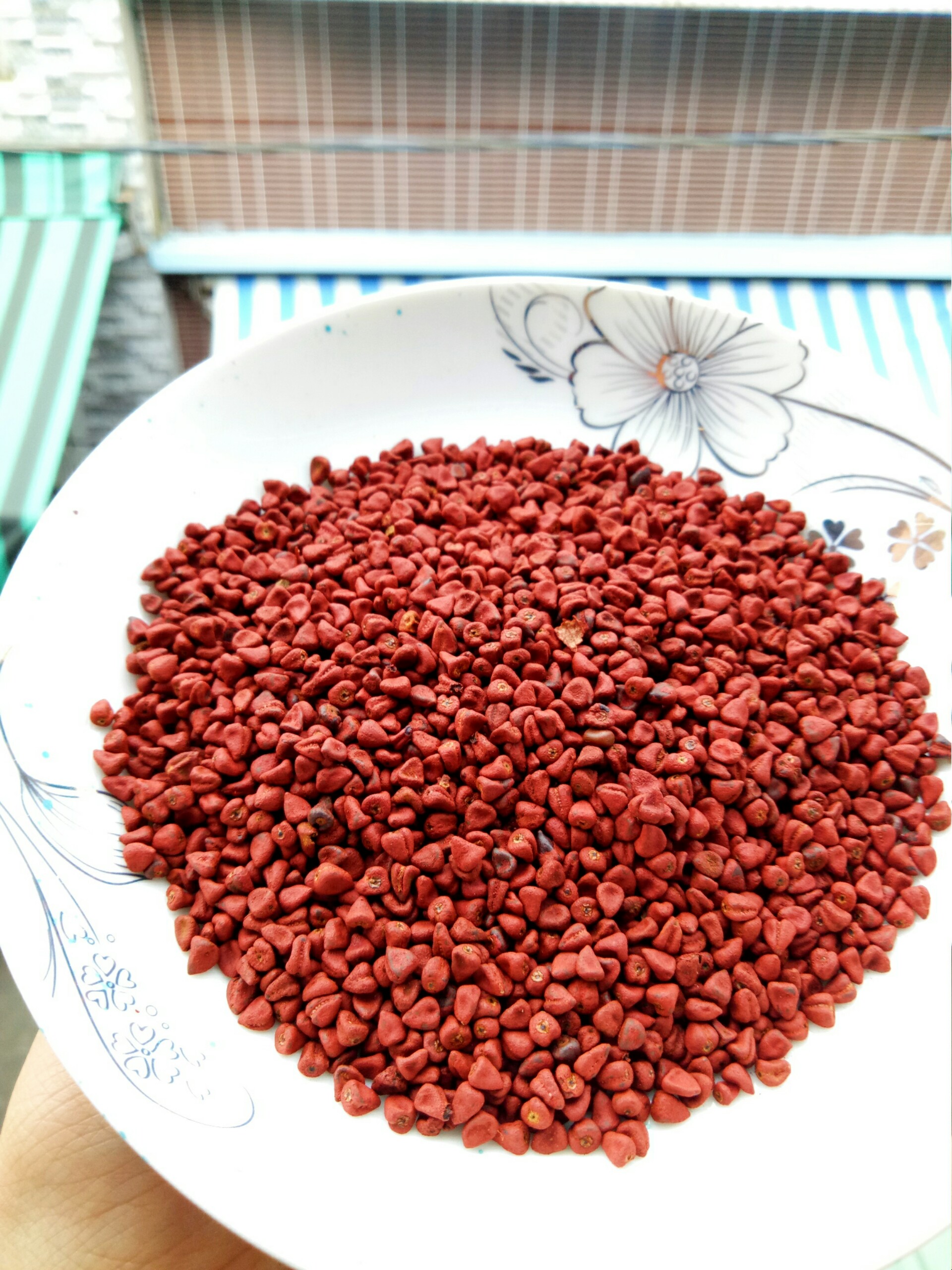 500g hạt điều đỏ tạo màu