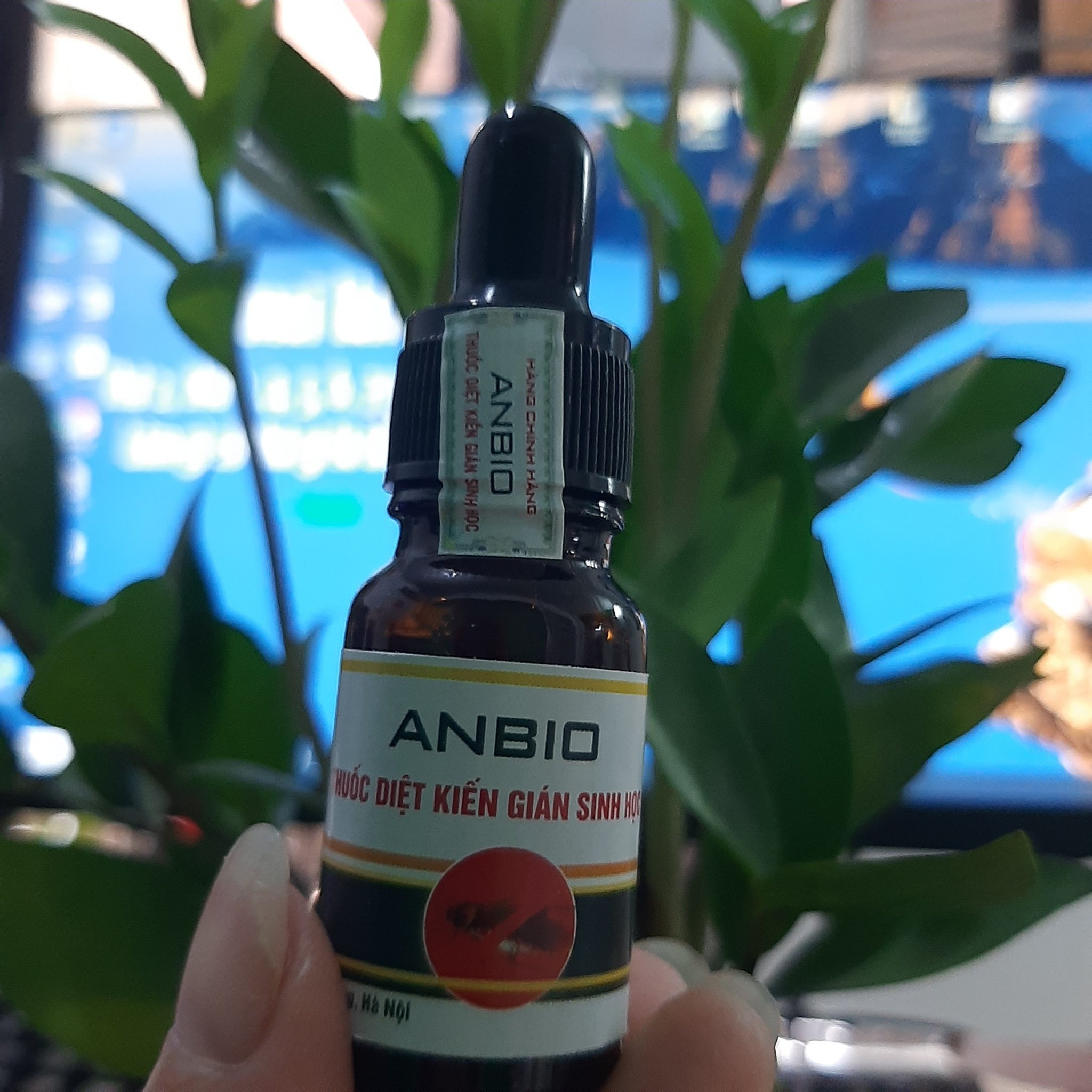 Combo 3 lọ Thuốc diệt Kiến Gián Anbio