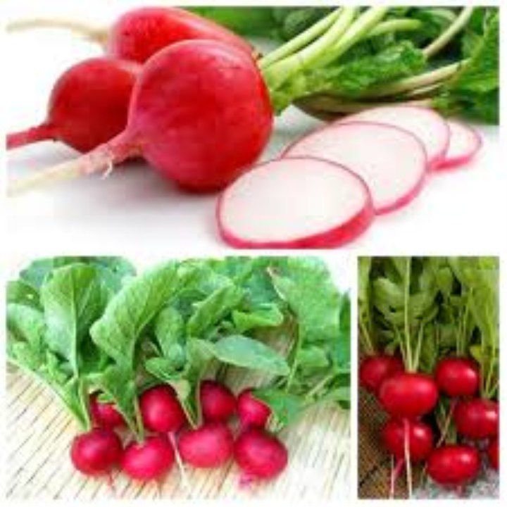 hạt giống củ cải đỏ 200 hạt