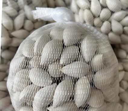 Bạch quả loại 1 túi nữa kg