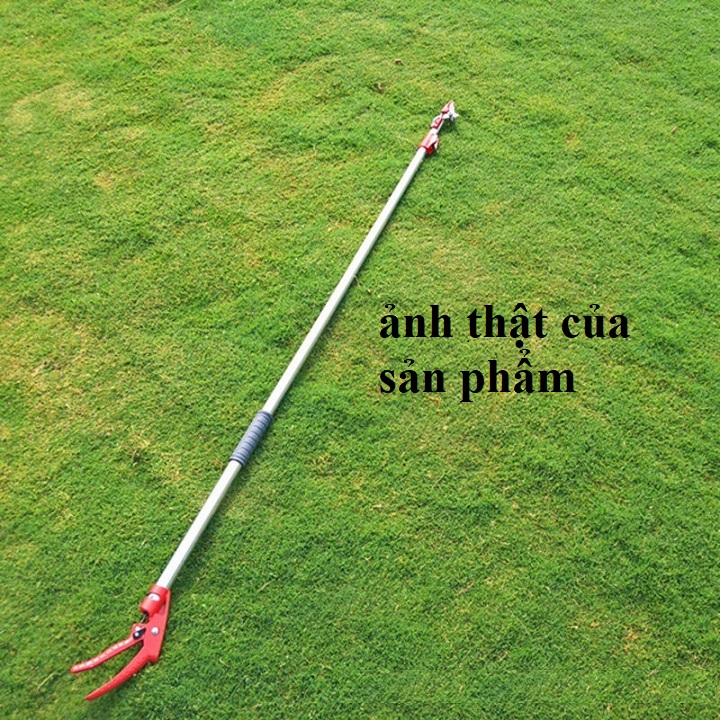 Kéo cắt cành lưỡi SK5 Nhật bản