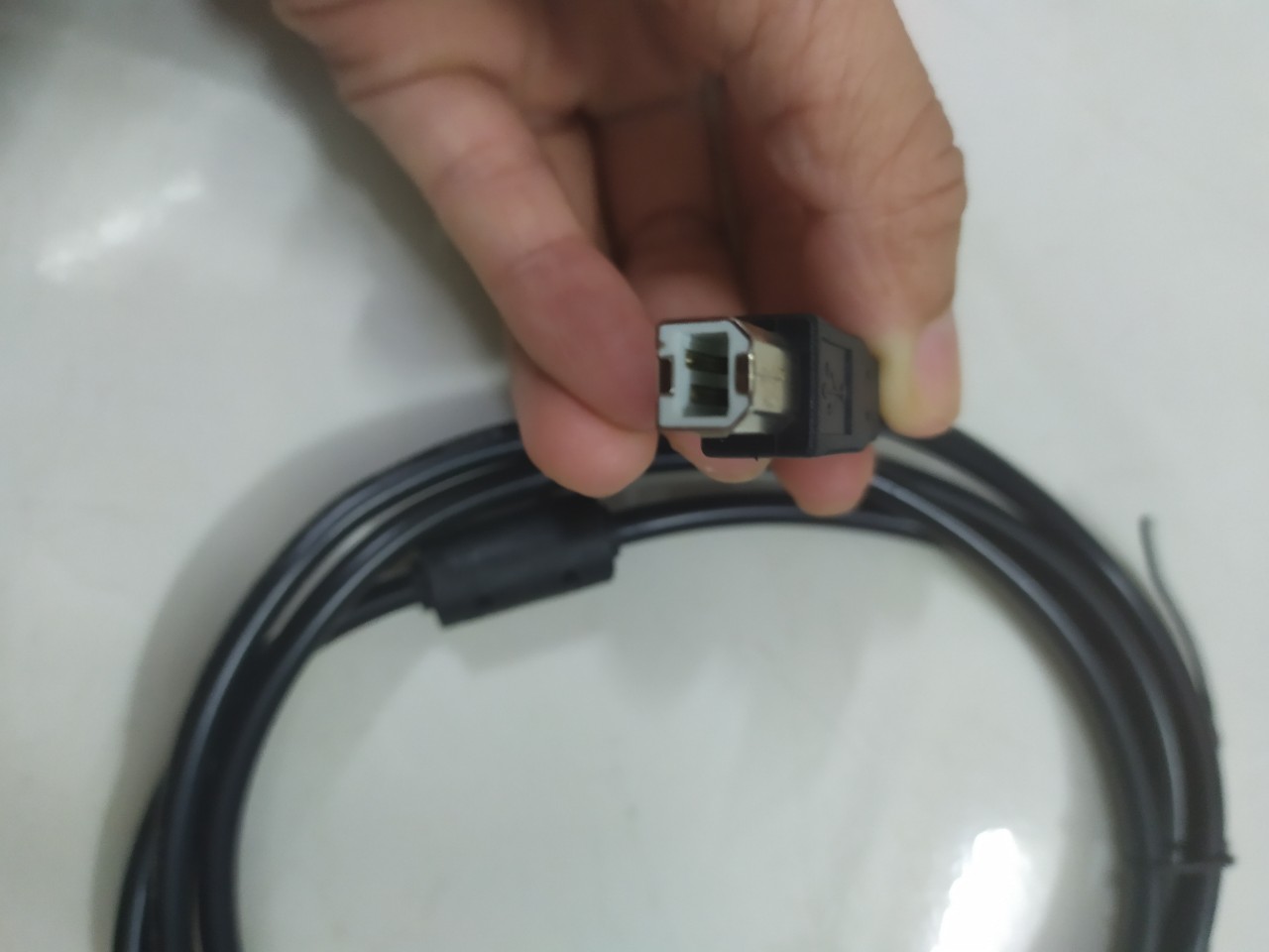 [HCM]Dây cáp usb máy in dài 3m