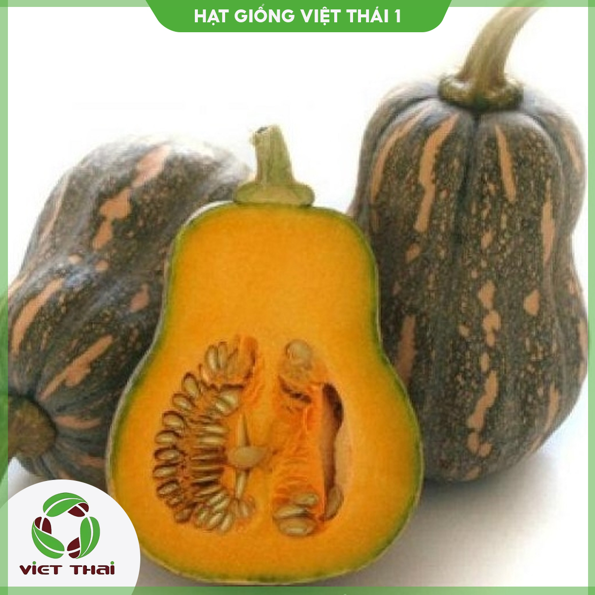 [SALE] Hạt giống Bí đỏ TN - 01 - HGVT1