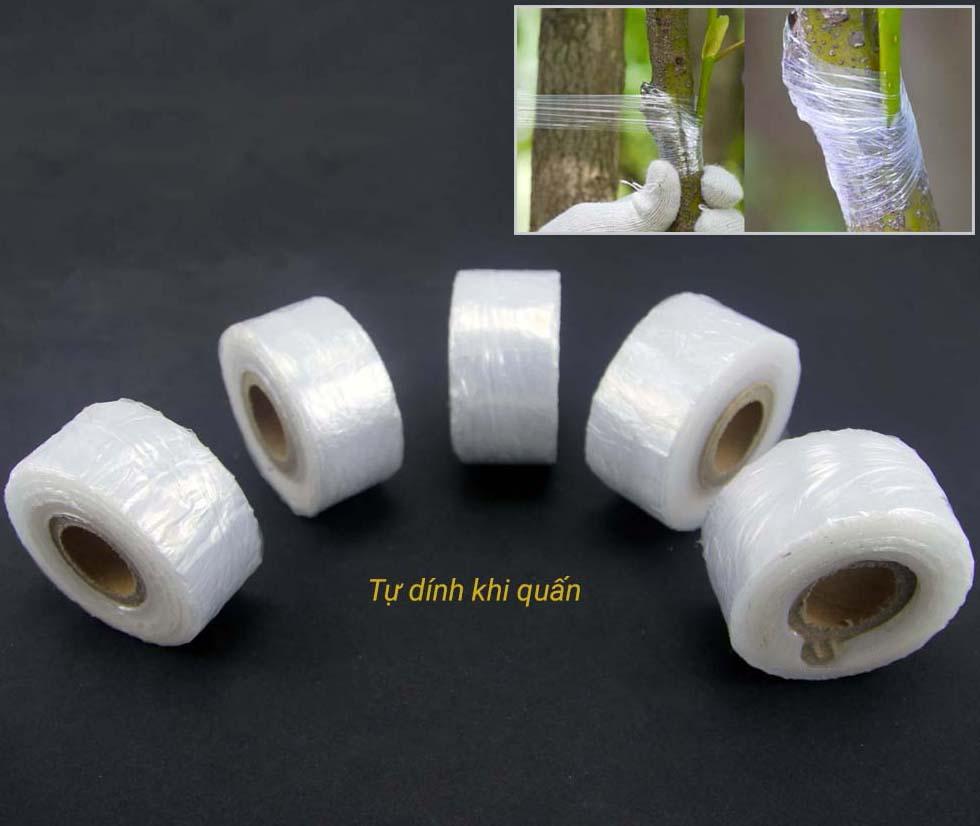 Băng keo ghép cành tự hủy 3cm