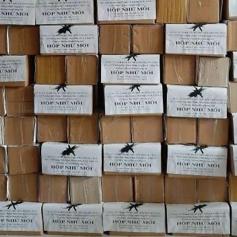[HCM]Hộp nhử mối 1 hộp