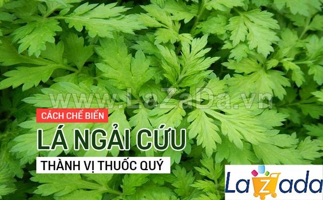 50h Hạt Giống Ngải Cứu Mugwort (| A4*W50*M301)