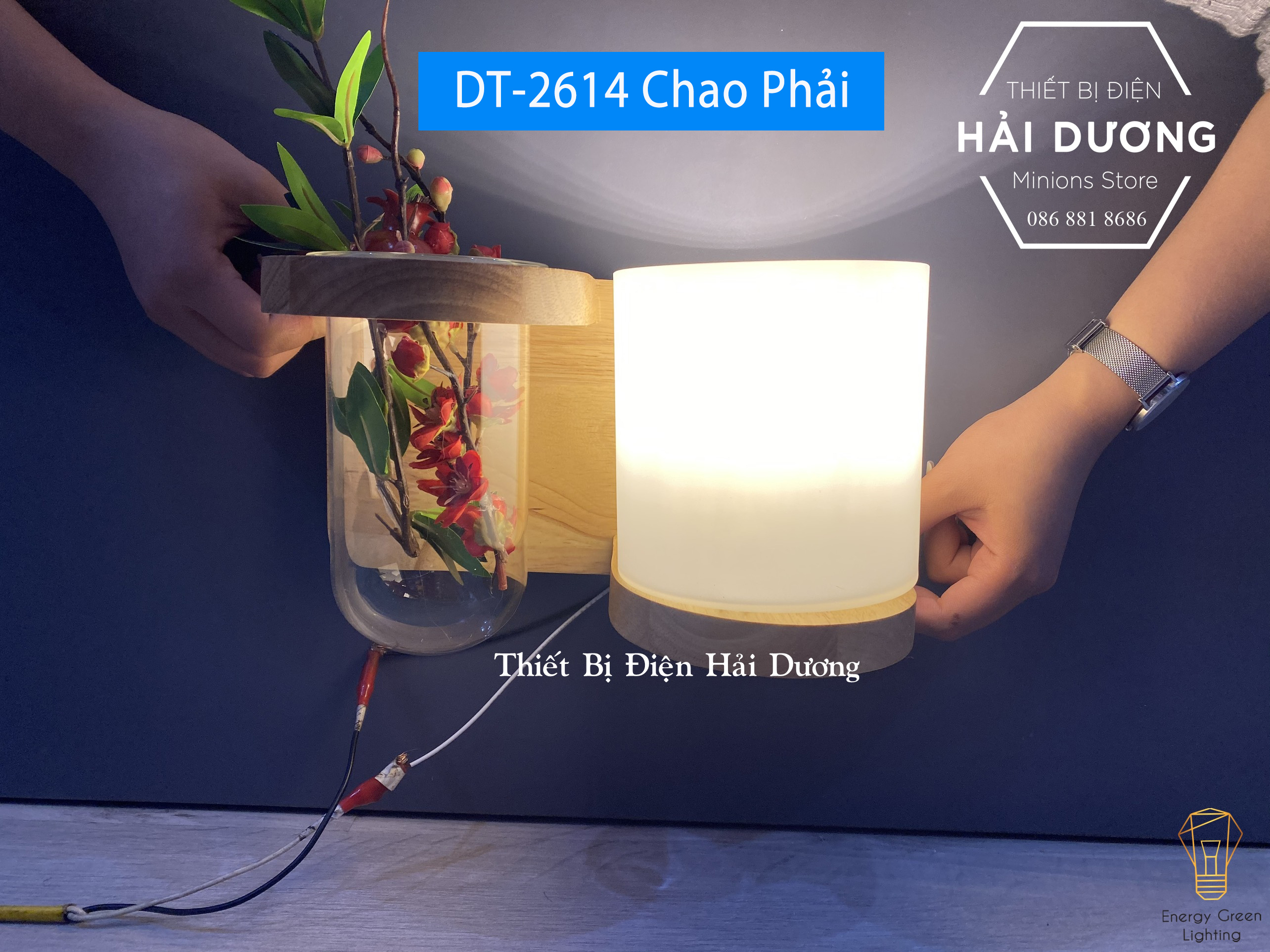Đèn Tường Kệ Gỗ Chao Thủy Tinh Hiện Đại DT-2614 - Trang Trí Căn Phòng - Energy Green Lighting - Đã Bao Gồm Bóng LED 3W - Có Video thực tế