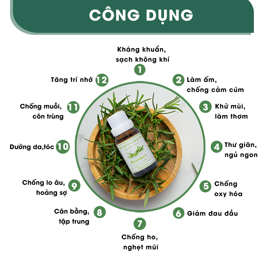 Tinh Dầu Aroma Hương Thảo Rosemary - 10ml/15ml/30ml/50ml