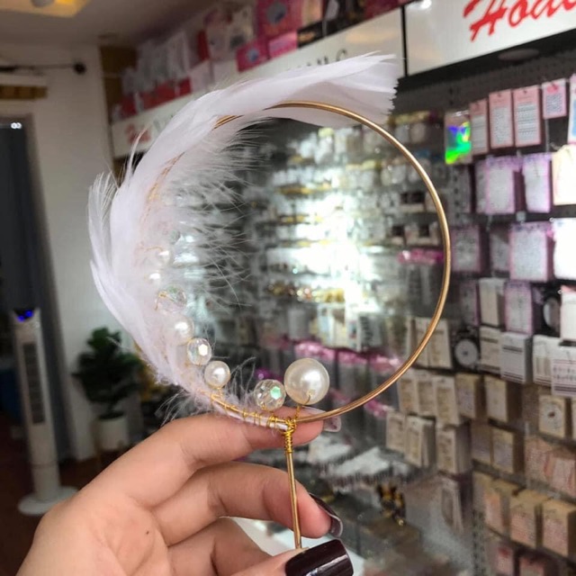 Que lông vũ chụp ảnh