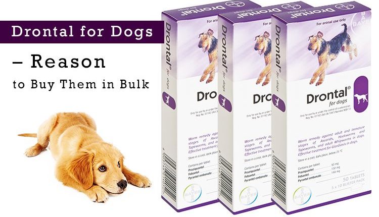 VIÊN TẨY GIUN DRONTAL PLUS CHO CHÓ - 1 viên