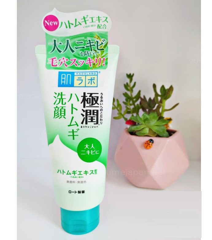 Sữa rửa mặt làm sạch da Hadalabo dạng tuýp 100g