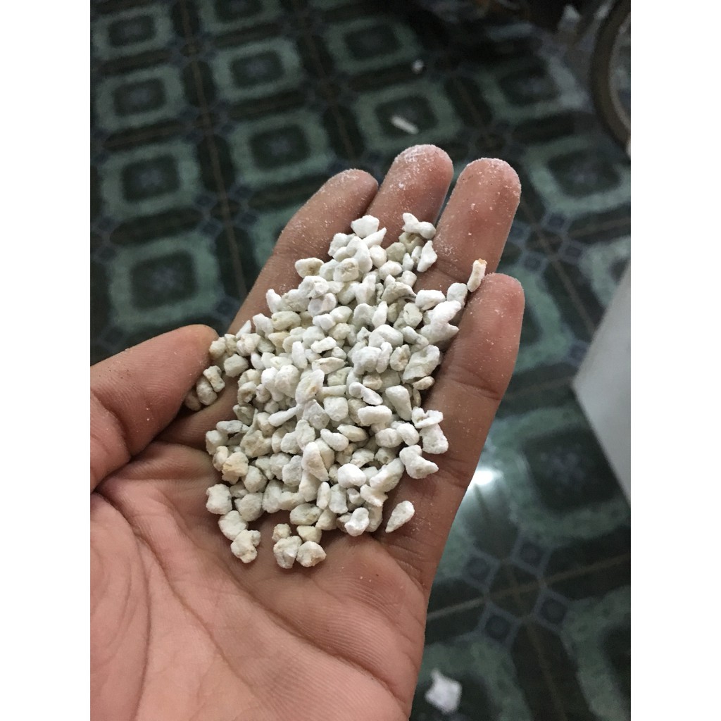 Đá perlite 100g
