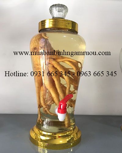 Bình Ngâm Sâm Thủy Tinh Có Van 5 Lít - Hũ Ngâm Sâm 5 Lít
