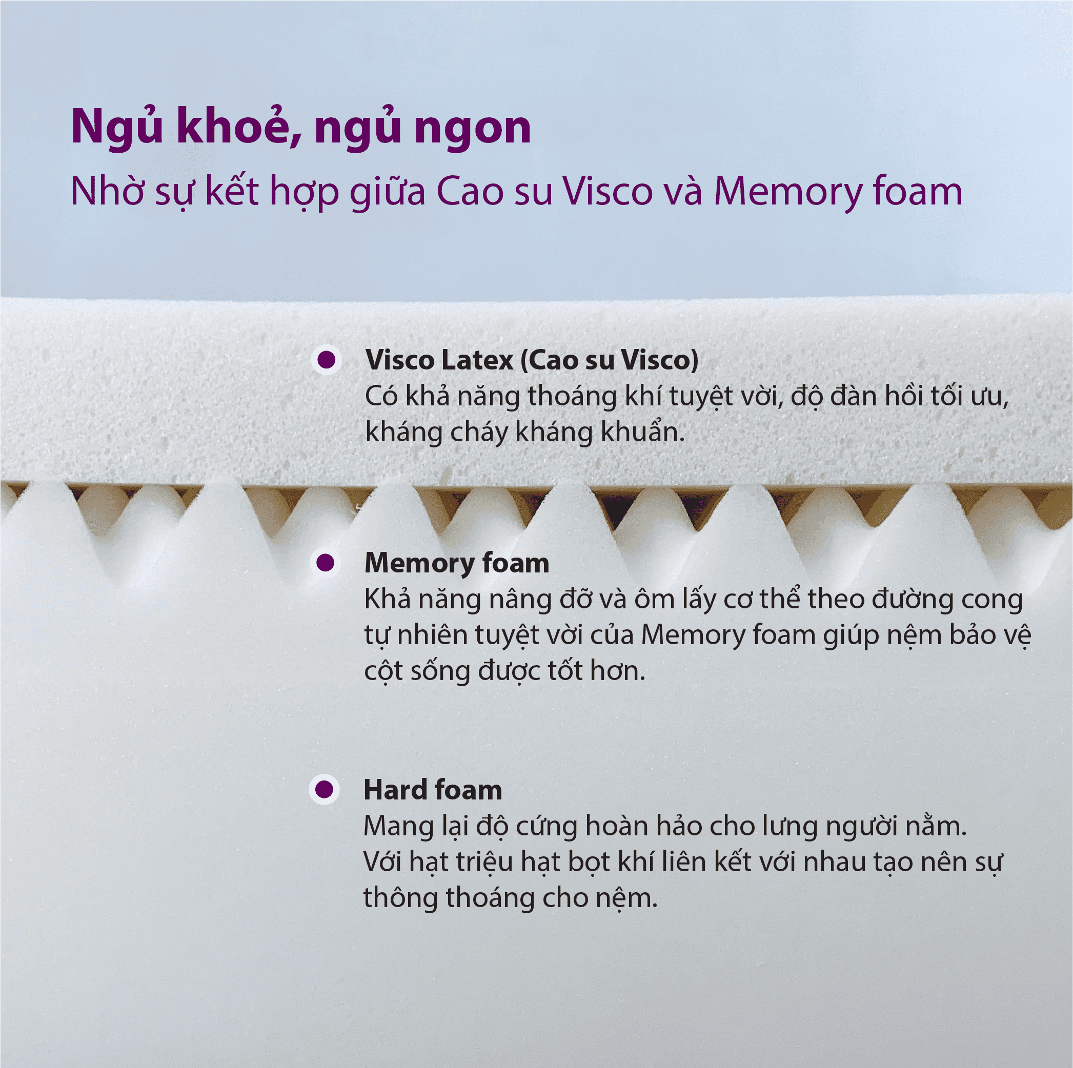Nệm Cao su Memory Foam Cao Cấp Samick Hàn Quốc - Cosy