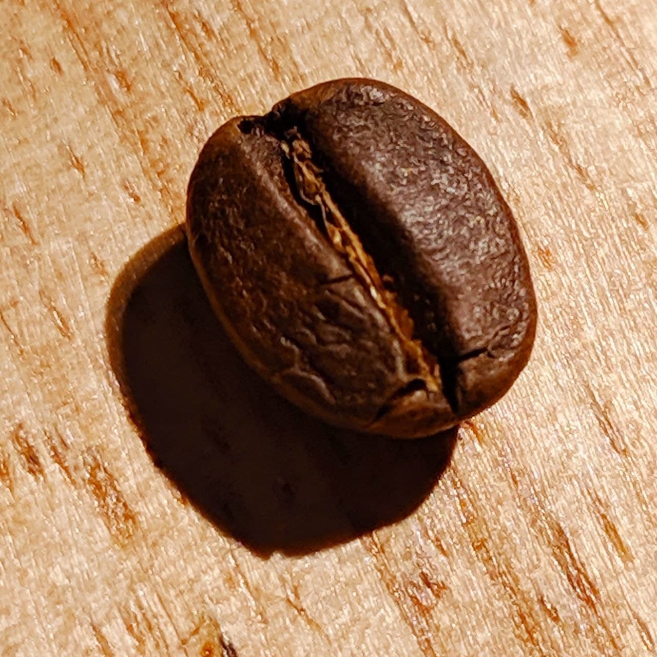 Espresso Blend 50/50. GURU Natural Coffee