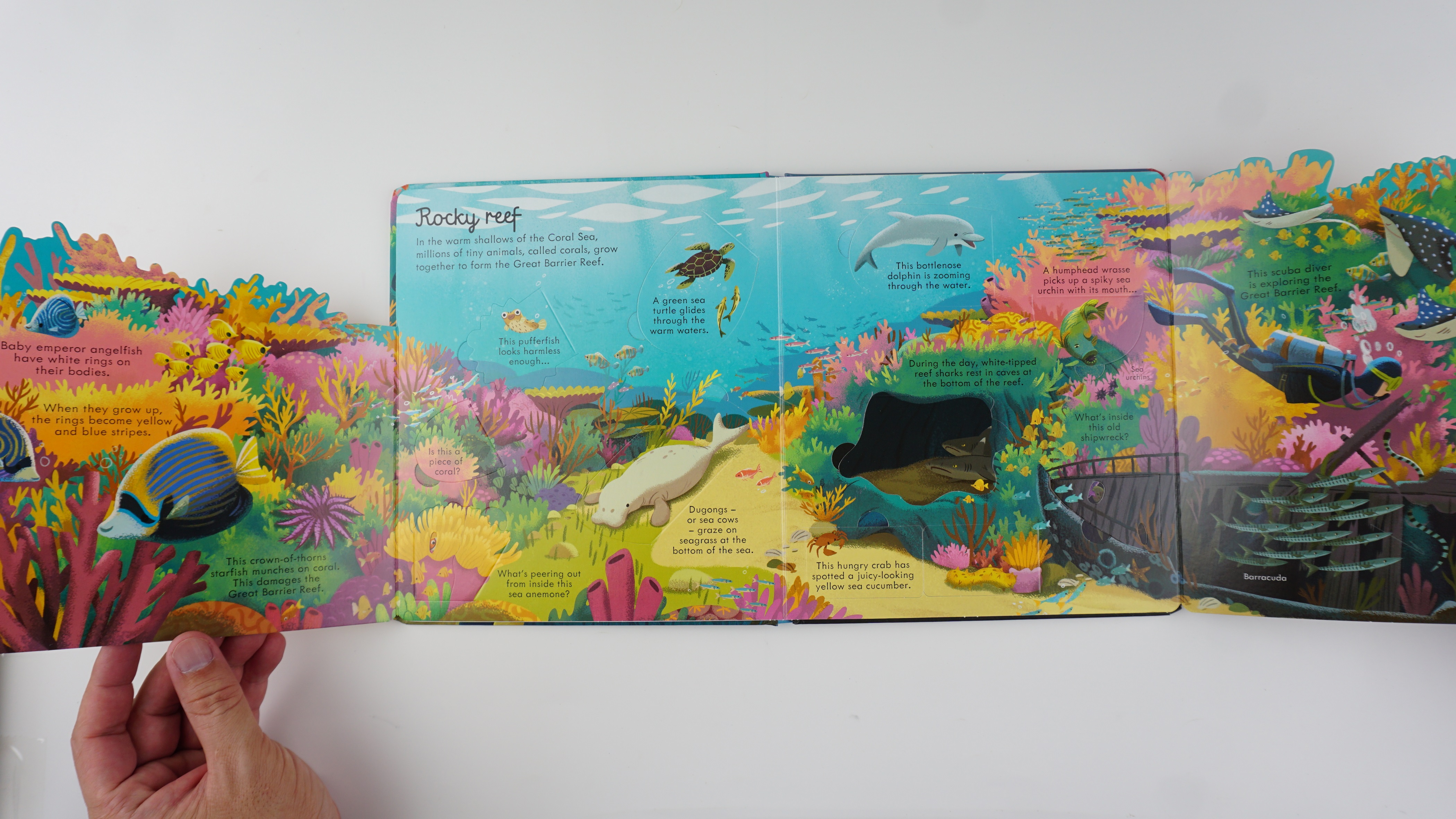 Look Inside Seas and Oceans