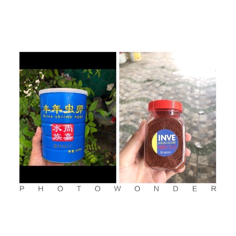 [HCM]combo atermia lon xanh và cám thái