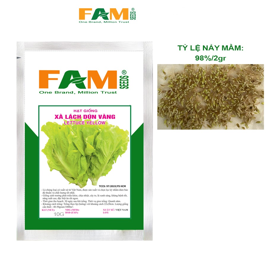 Gói 10gr Hạt Giống Xà Lách Dún Vàng FAM SEEDS - Nảy mầm và Phát triển khỏe, Năng suất cao, Chịu Nhiệt, Kháng bệnh tốt
