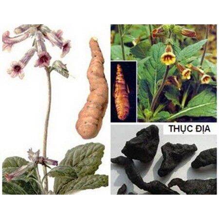 500gr thục địa khô ngon nguyên chất bổ máu.