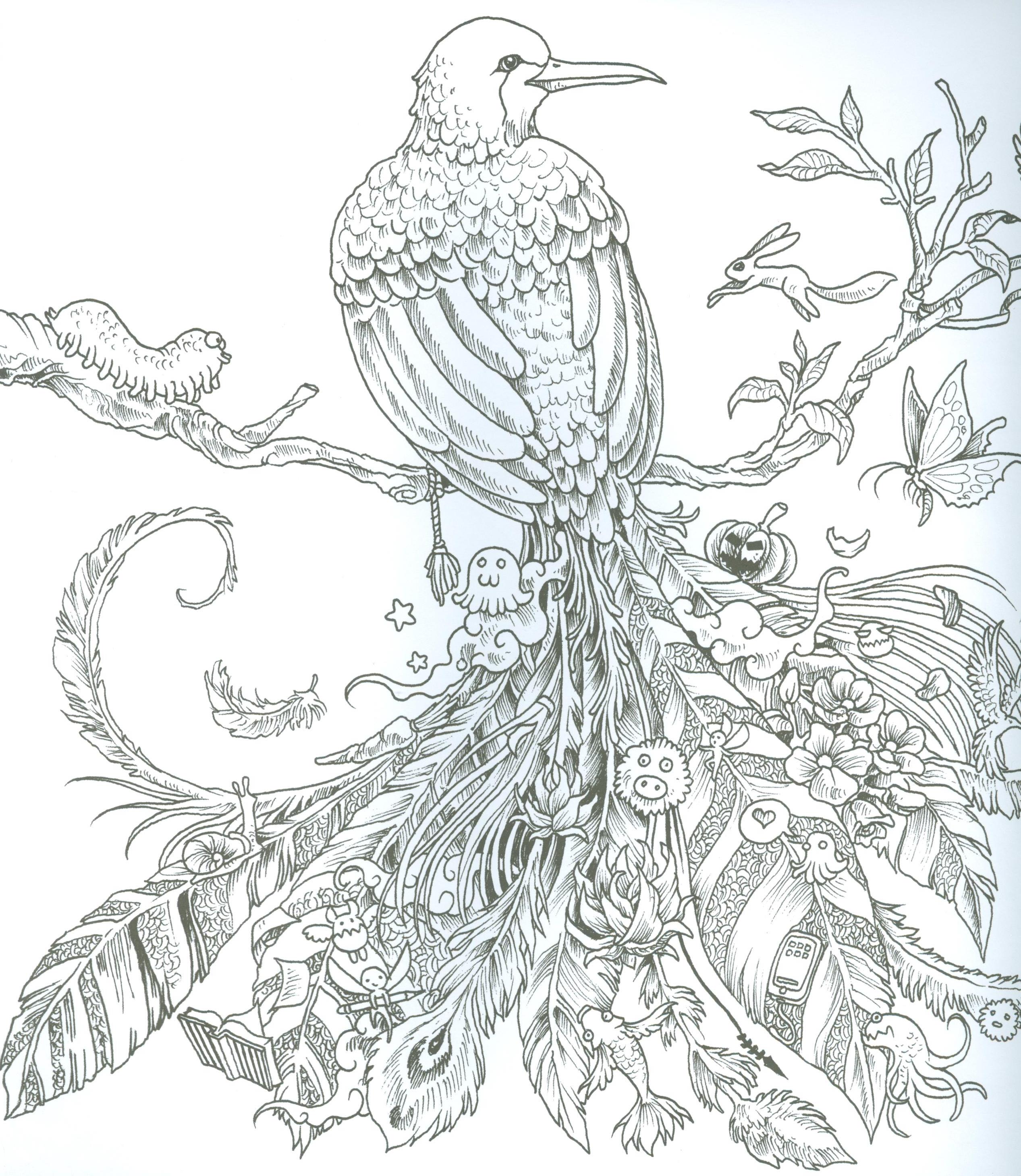 Thế Giới Hoang Dã - Animorphia