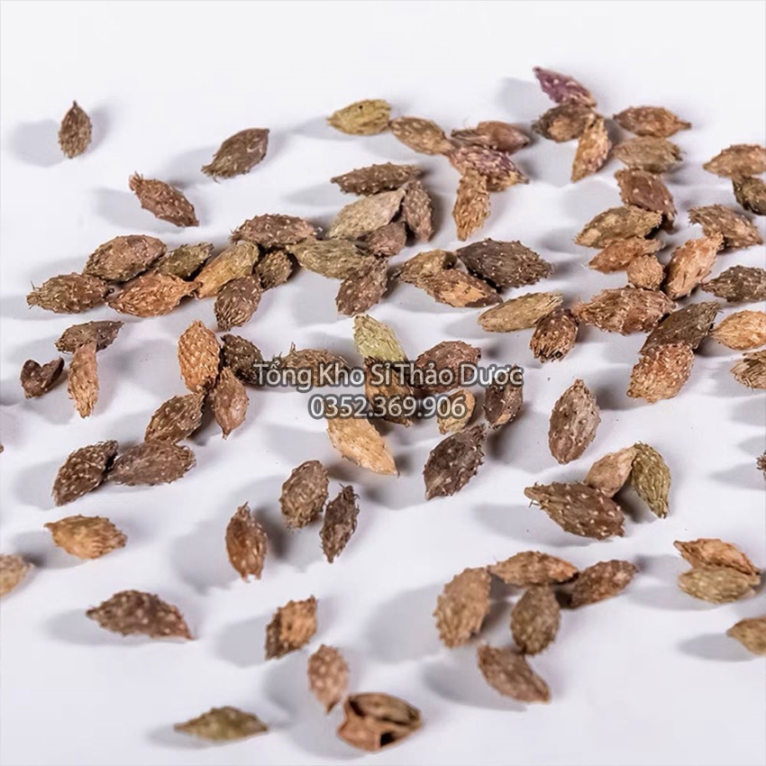 Ké Đầu Ngựa 100g (Thương Nhĩ Tử)