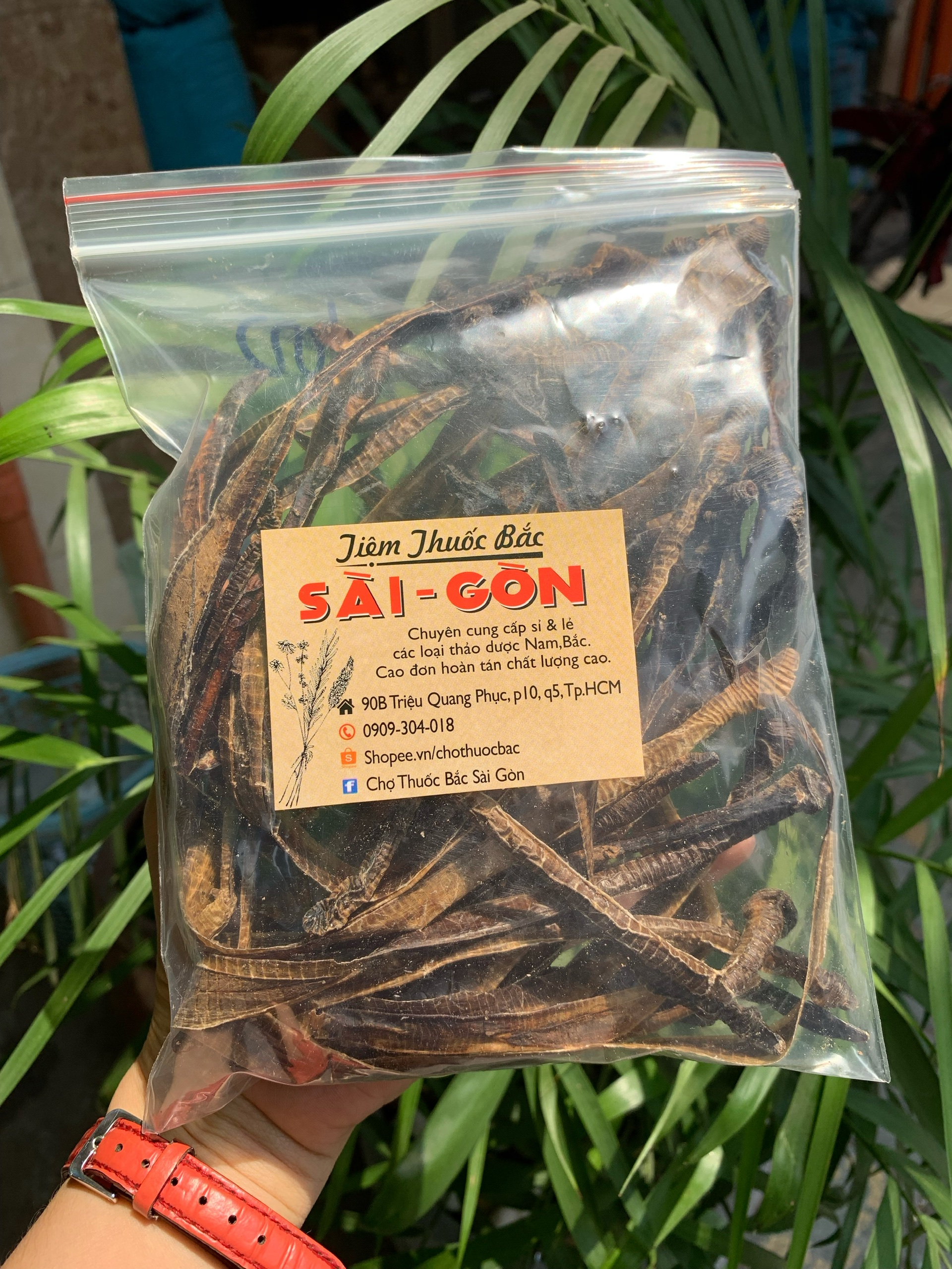 [HCM]Địa Long Khô Sạch Đẹp 100g