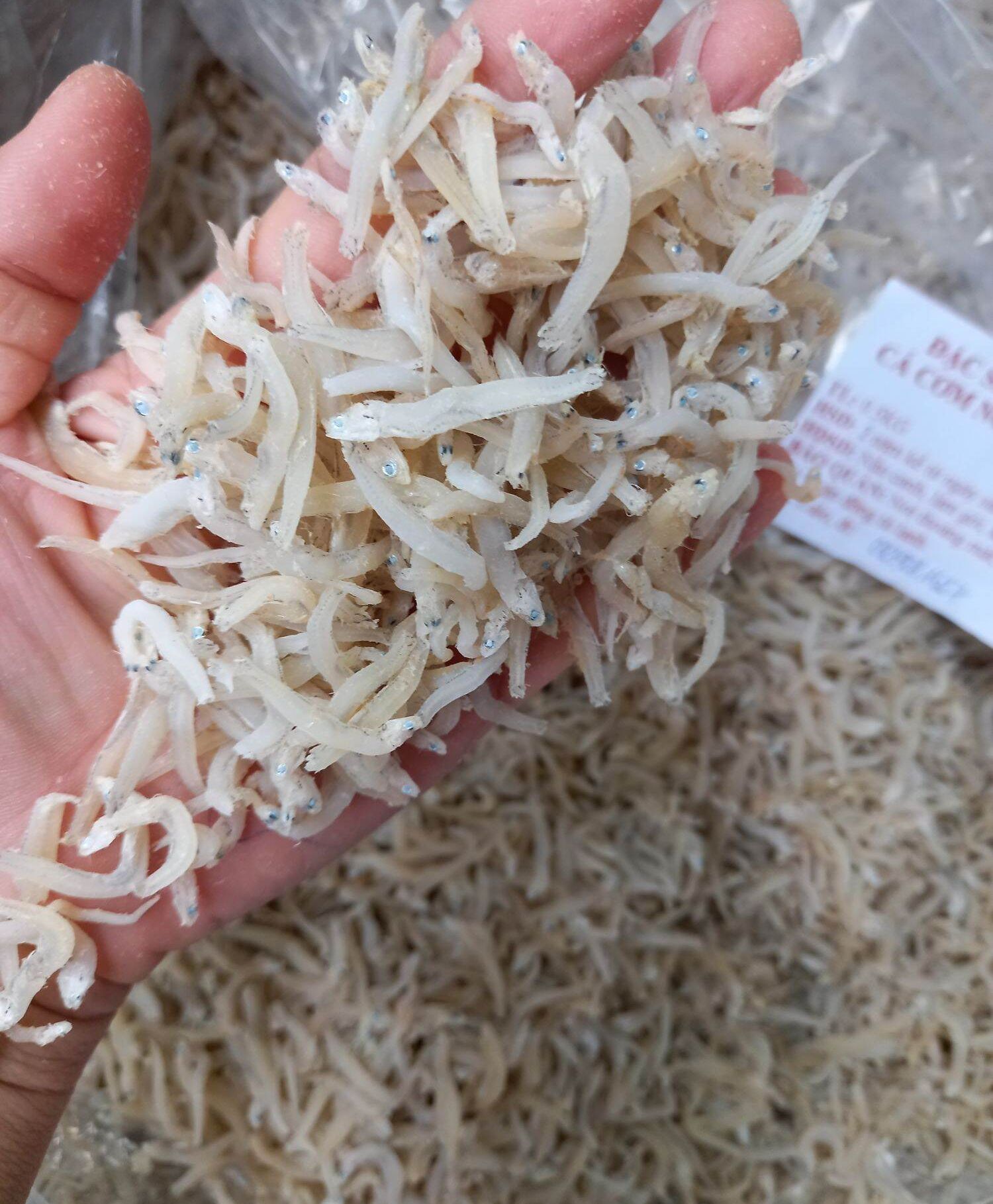 0.5 KG CÁ CƠM MỒM PHÚ YÊN ĐẶC BIỆT (BAO Y HÌNH)