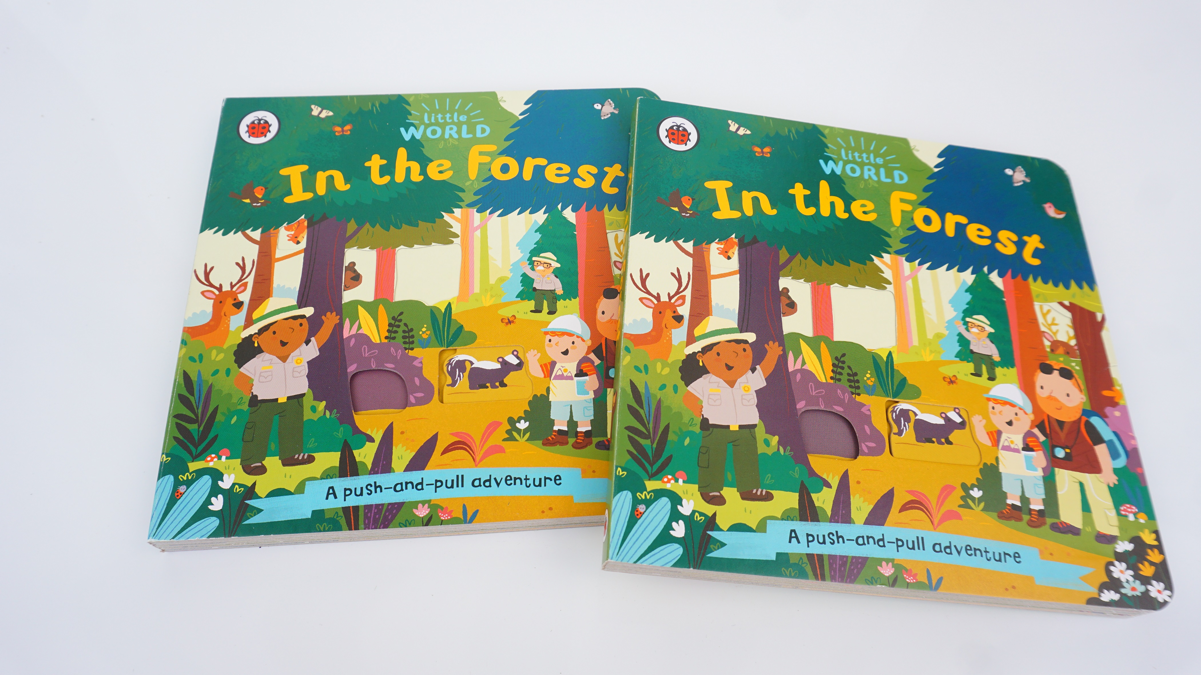 Little World: In the Forest : A push-and-pull adventure