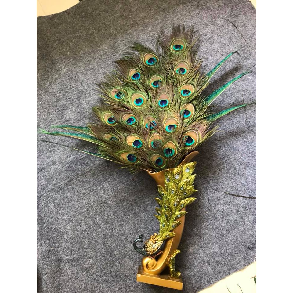 Lông Công Phong Thủy 25cm