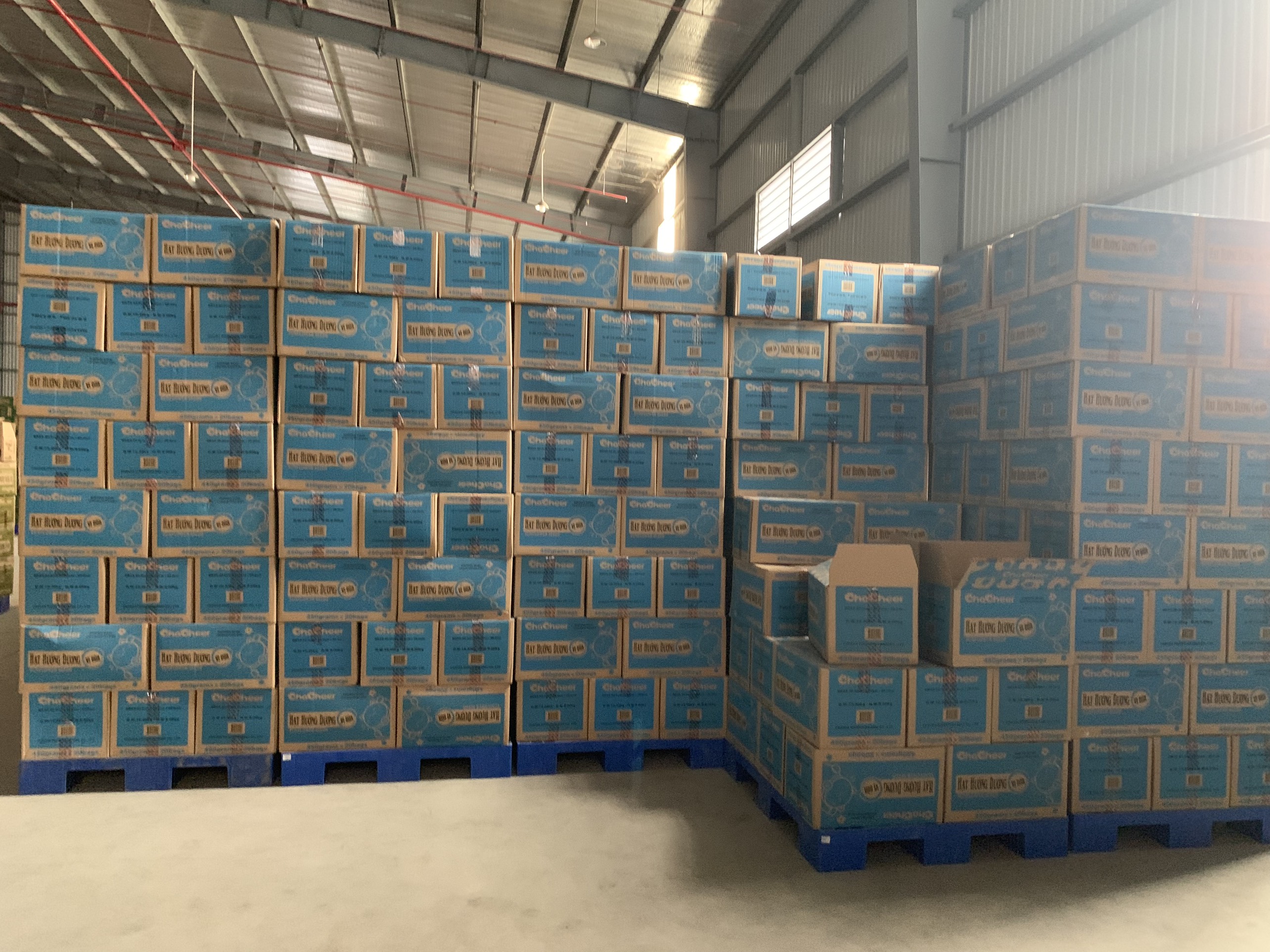 Hạt Hướng Dương CHACHEER 450g