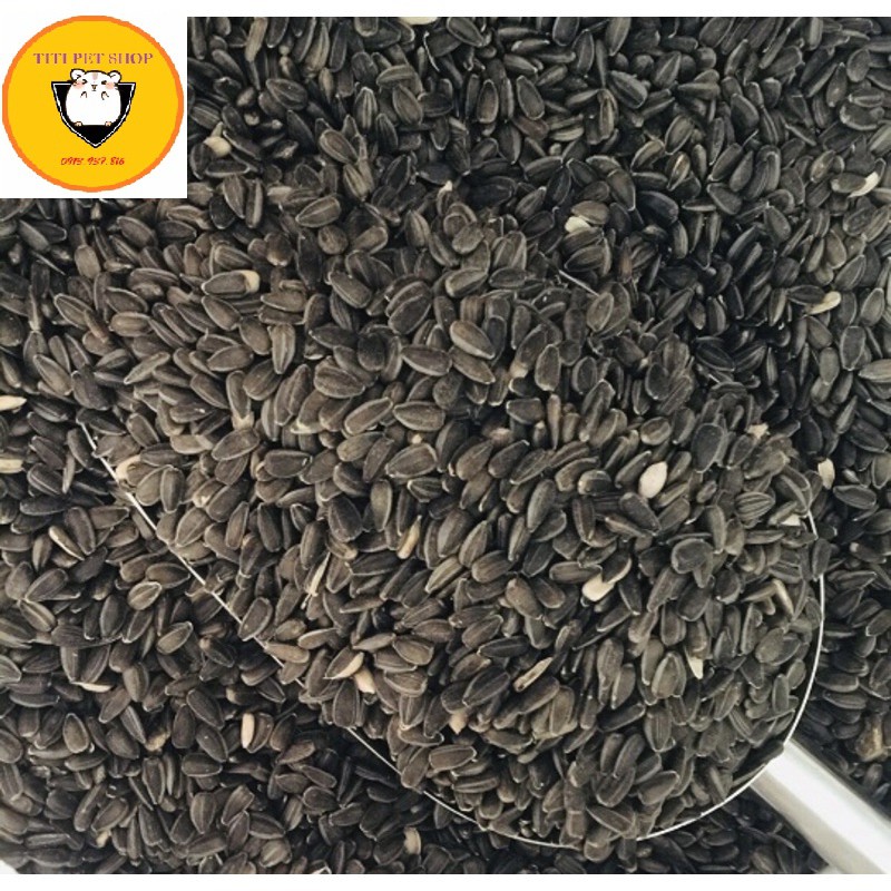 hạt hướng dương đen nhỏ cho chim