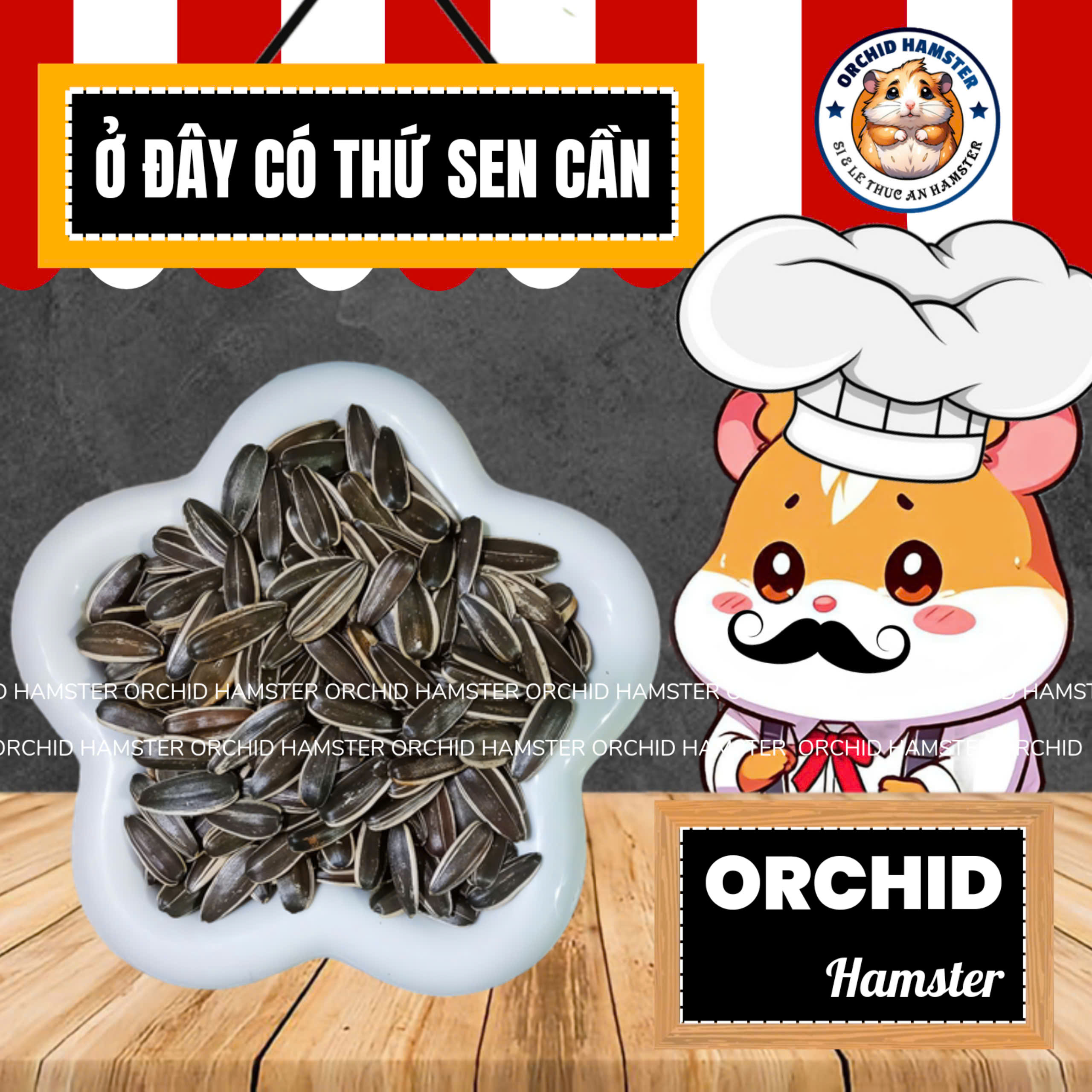 Hạt Hướng Dương Cho Hamster/Sóc/Nhím Và Thú Nhỏ