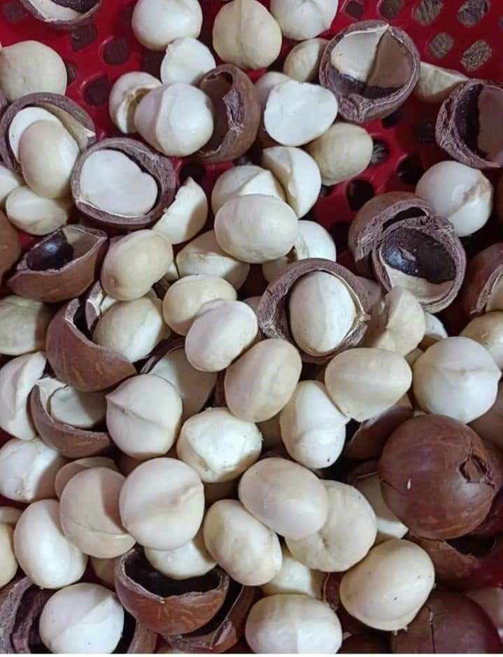 HẠT MACCA 1KG