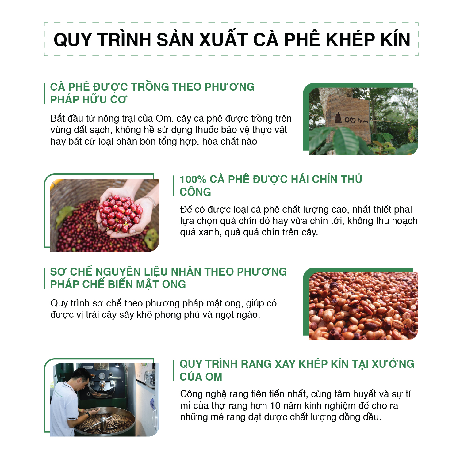 Cà phê rang xay Truyền Thống Om chế phin 250g - Cà phê bột pha phin