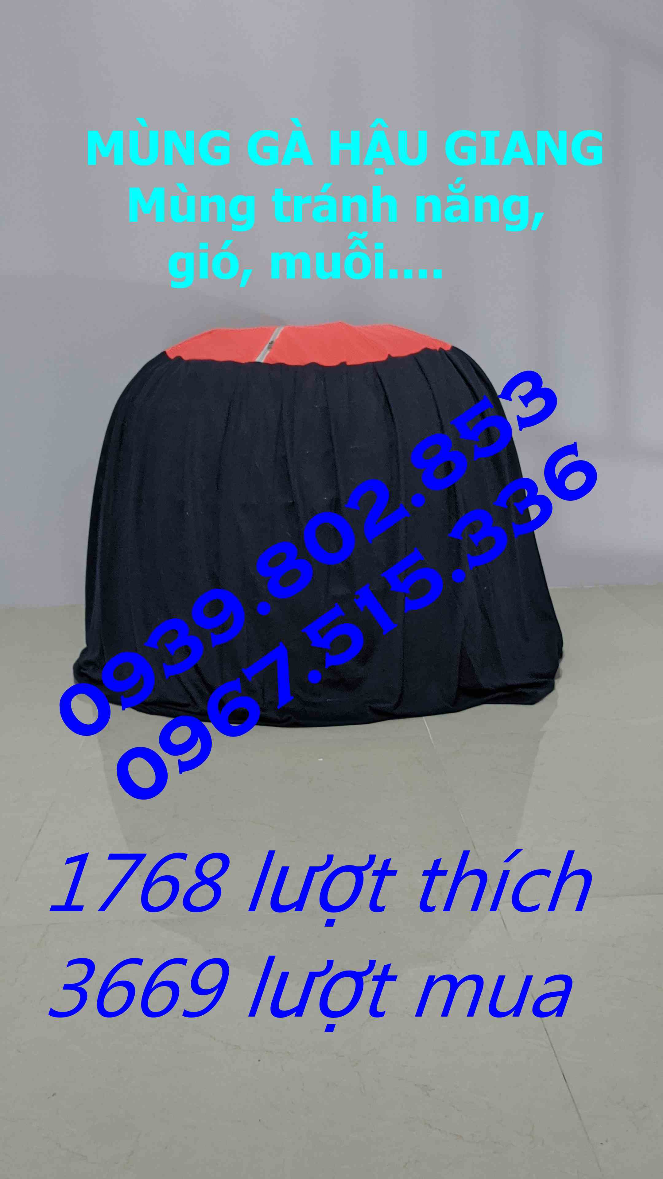 10 mùng trùm bội gà tre 90cm