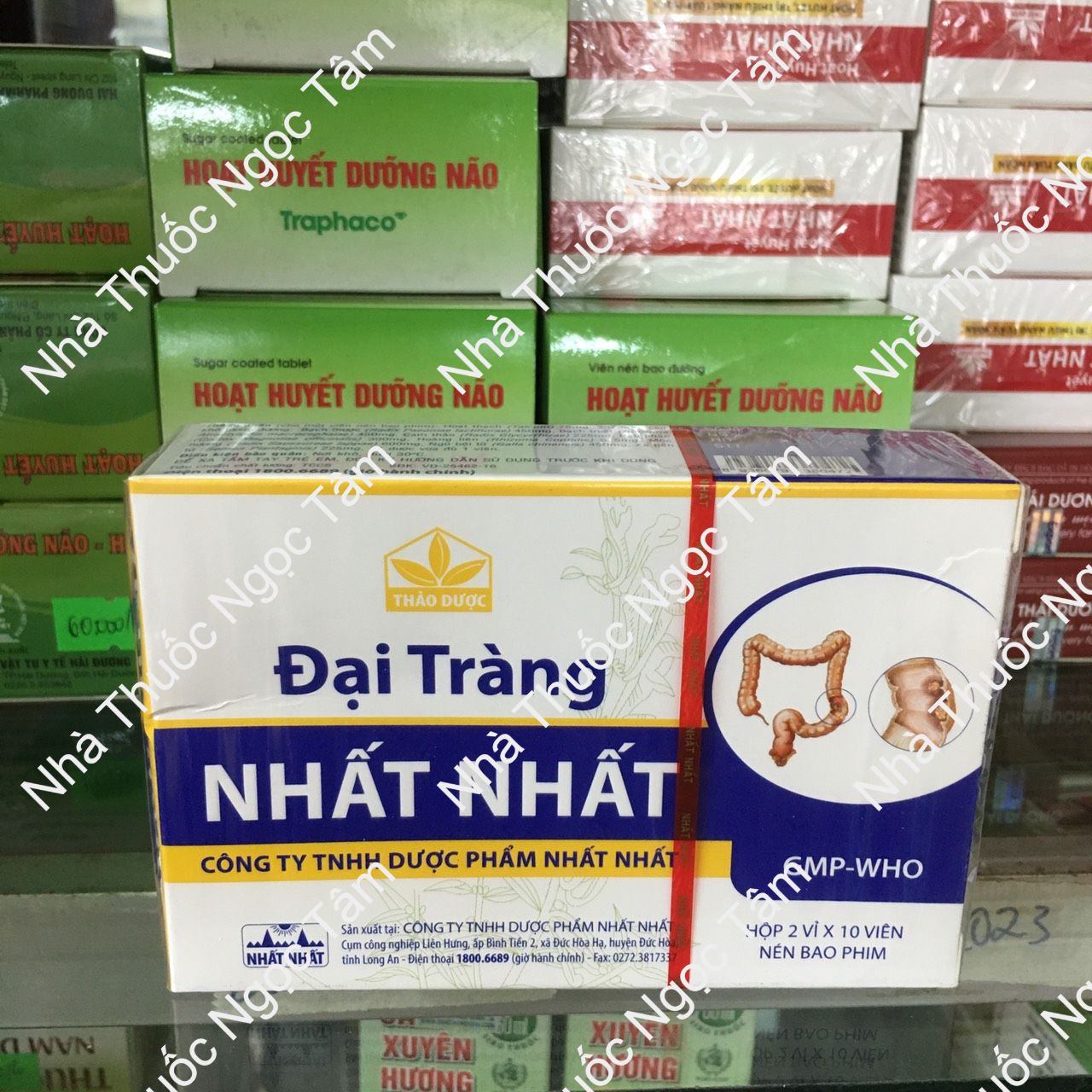 Đại Tràng Nhất Nhất