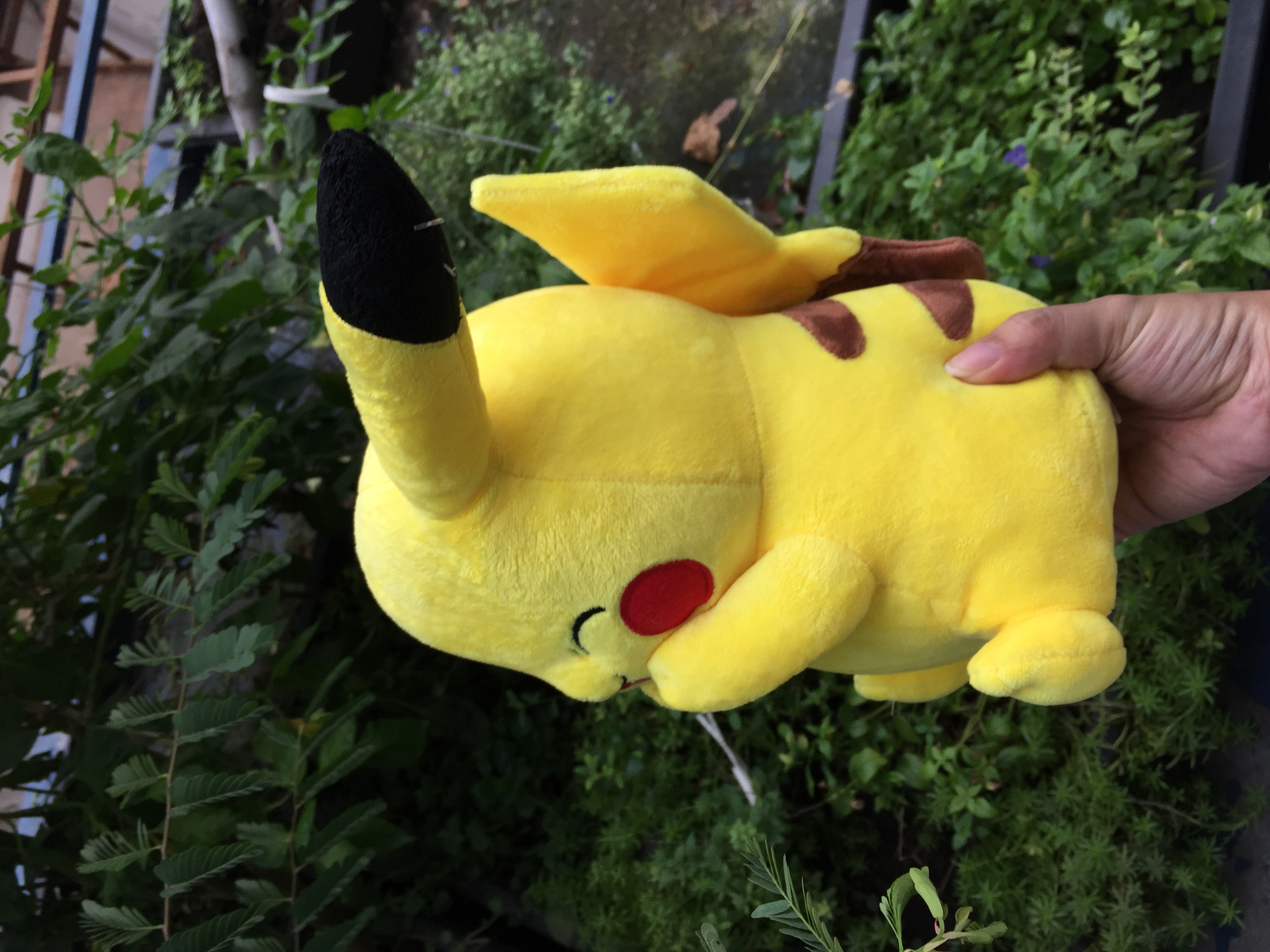[HCM]Gấu bông pokemon pikachu 30cm