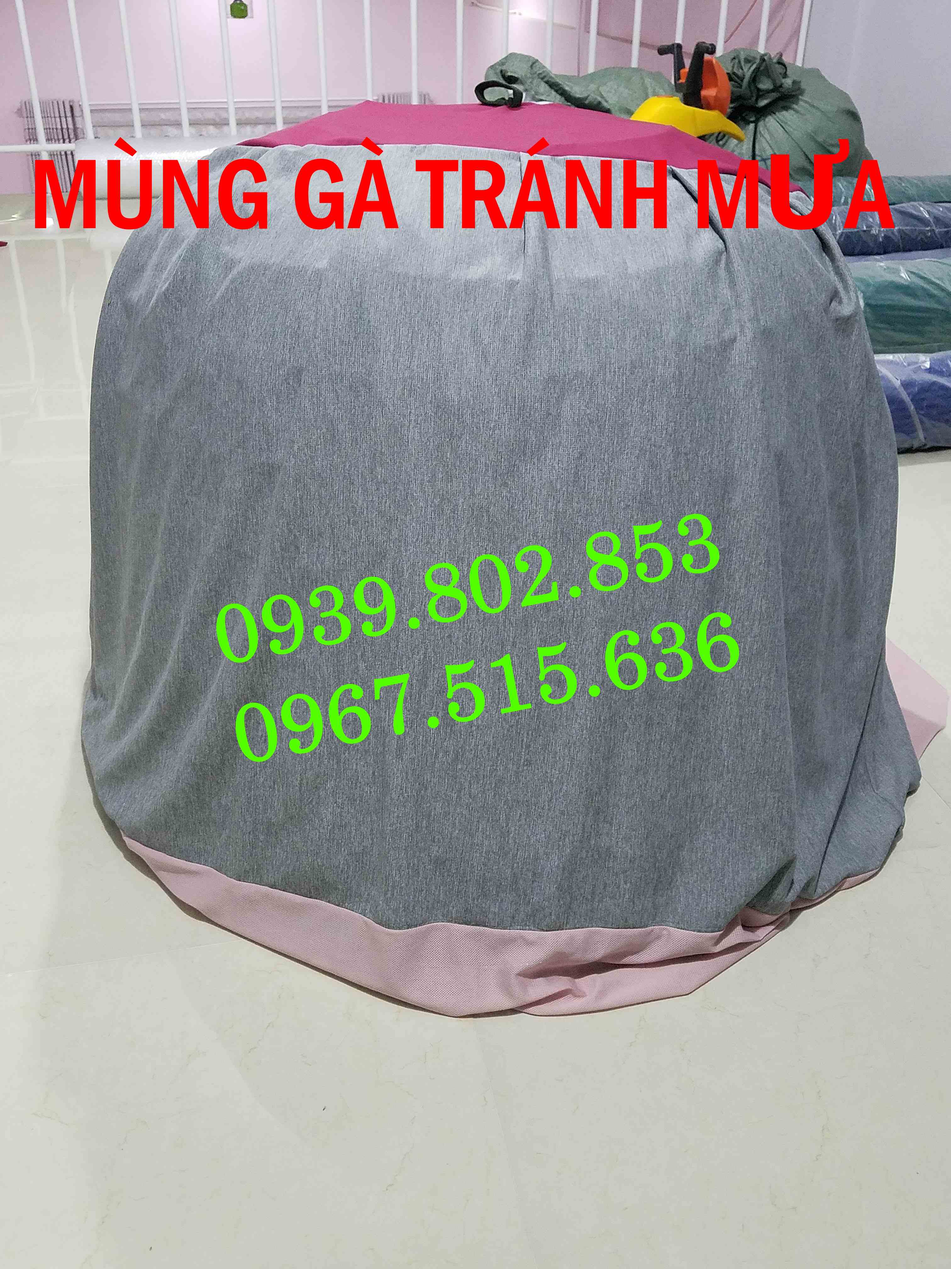 [TRÁNH MƯA] Combo 10 Mùng gà nòi| Mùng trùm bội gà | Mùng gà | Màn úp bội gà | Màn gà| Màn trùm bội gà nòi|