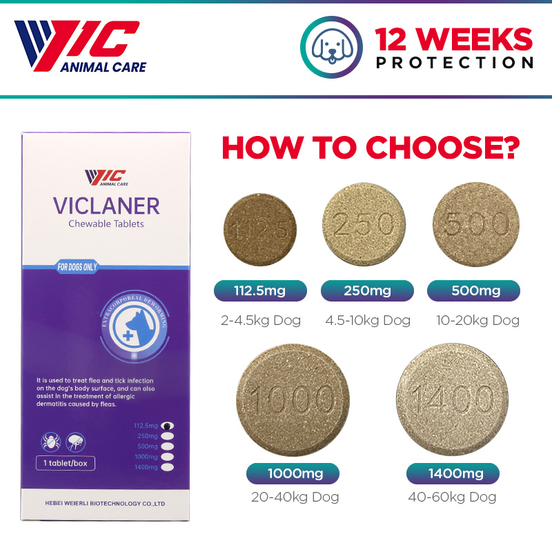 BRAVECTO hết Viêm Da Ghẻ Demodex Ve Rận Chó