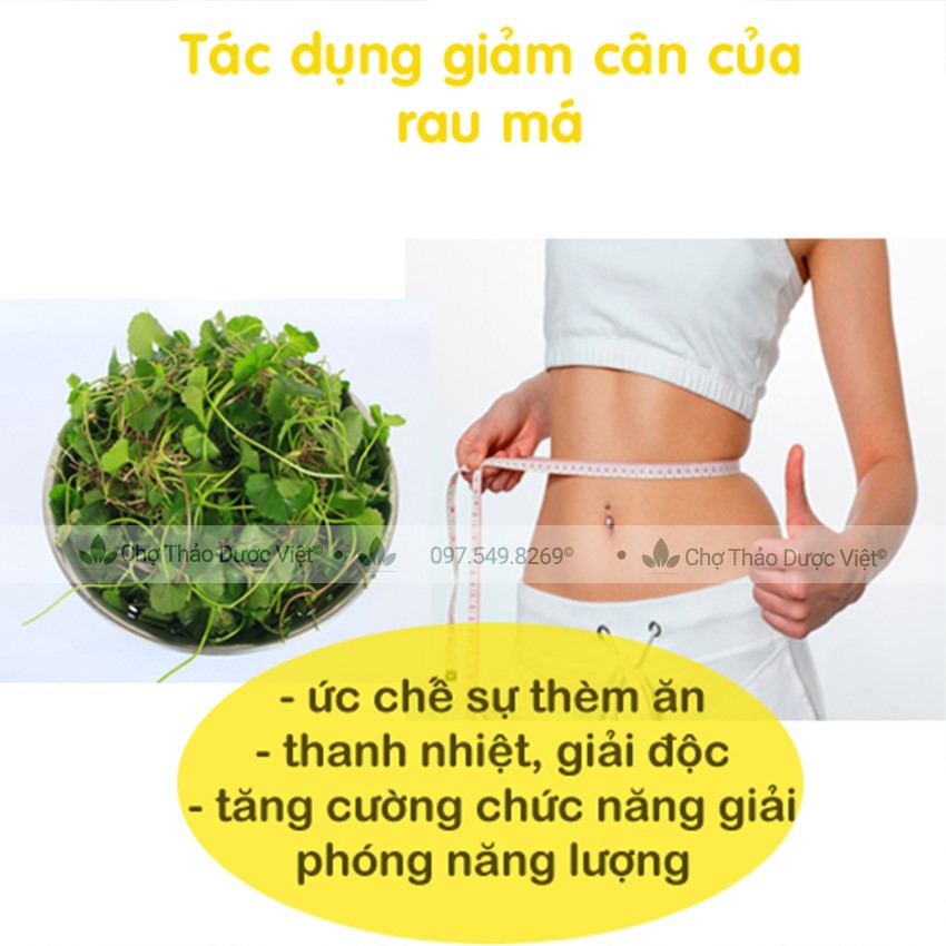 Bột rau má 500g, sấy lạnh nguyên chất, nước uống detox thanh lọc cơ thể, giảm cân, ngừa mụn, đẹp da