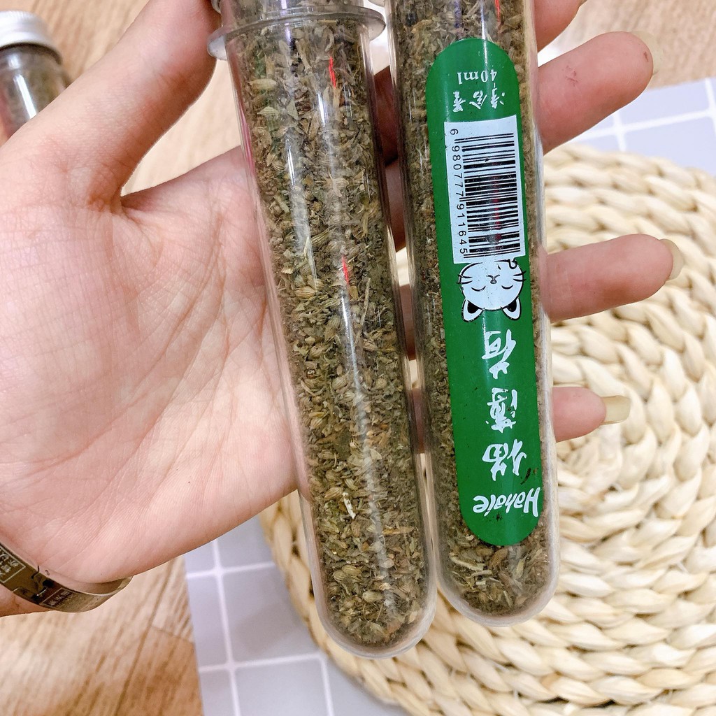 [HCM]Catnip cỏ bạc hà dành cho mèo dạng ống