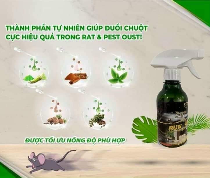 Lọ xịt chuột, xịt đuổi chuột, gián an toàn