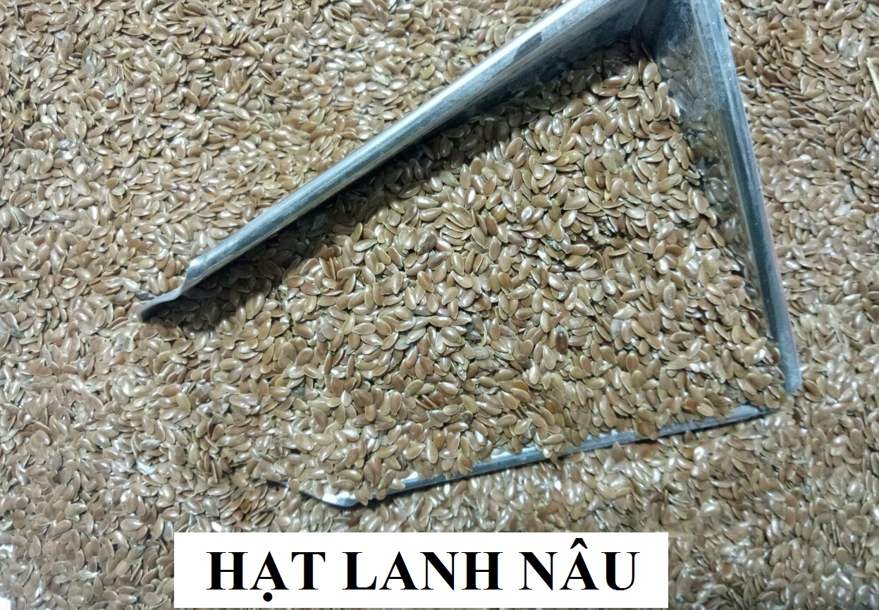 100G HẠT LANH NÂU (ẤN ĐỘ)