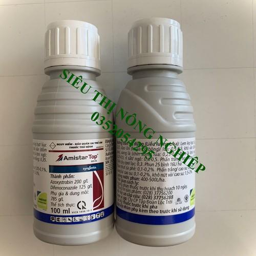 Trừ bệnh phấn trắng hoa hồng - Amistar Top 325SC