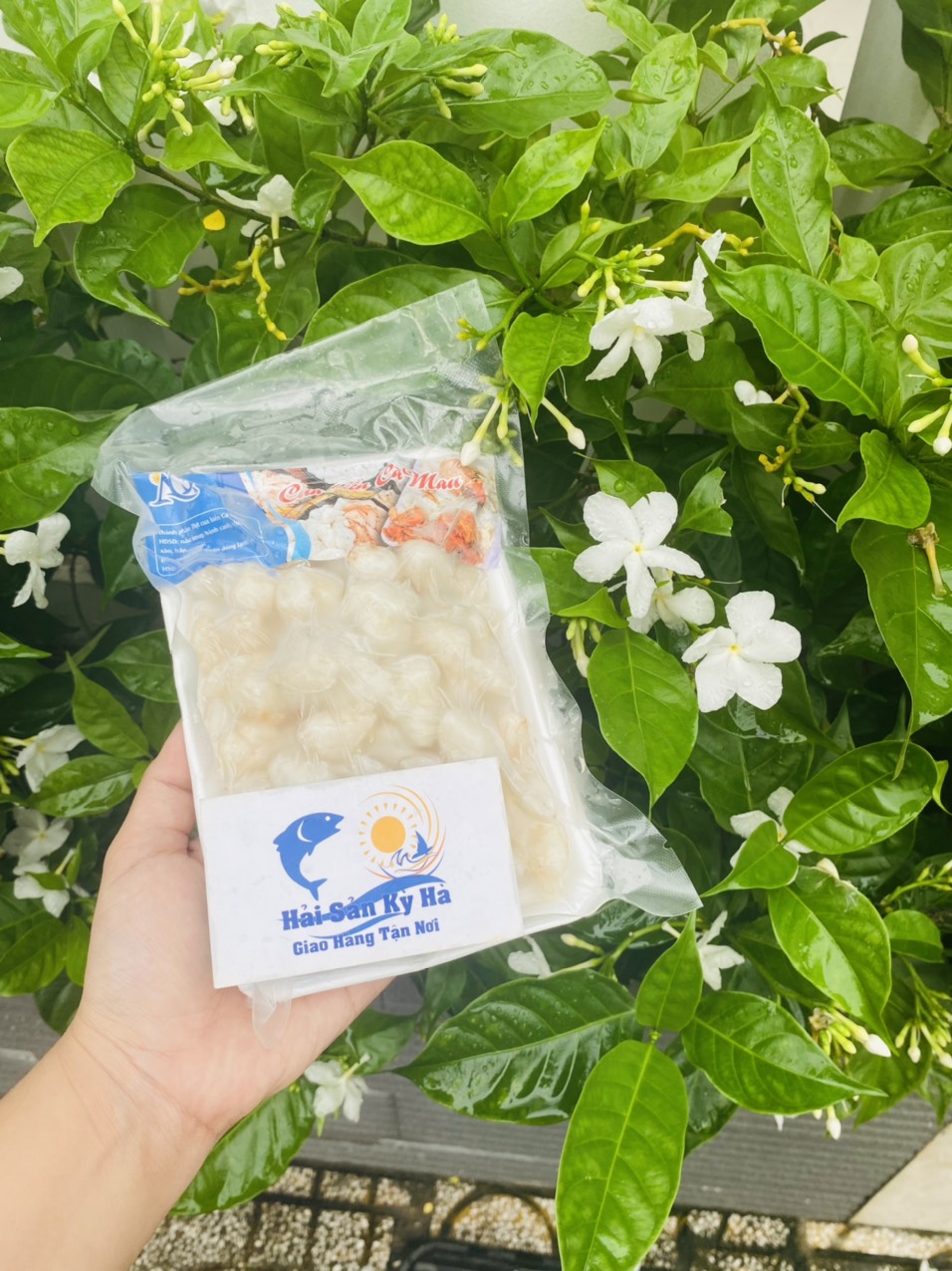 [GIAO NHANH 2H HCM] Sỉ 1Kg Đùi Cua Cồ (đã bóc sẵn)